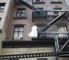 Let New York Vote for More Housing