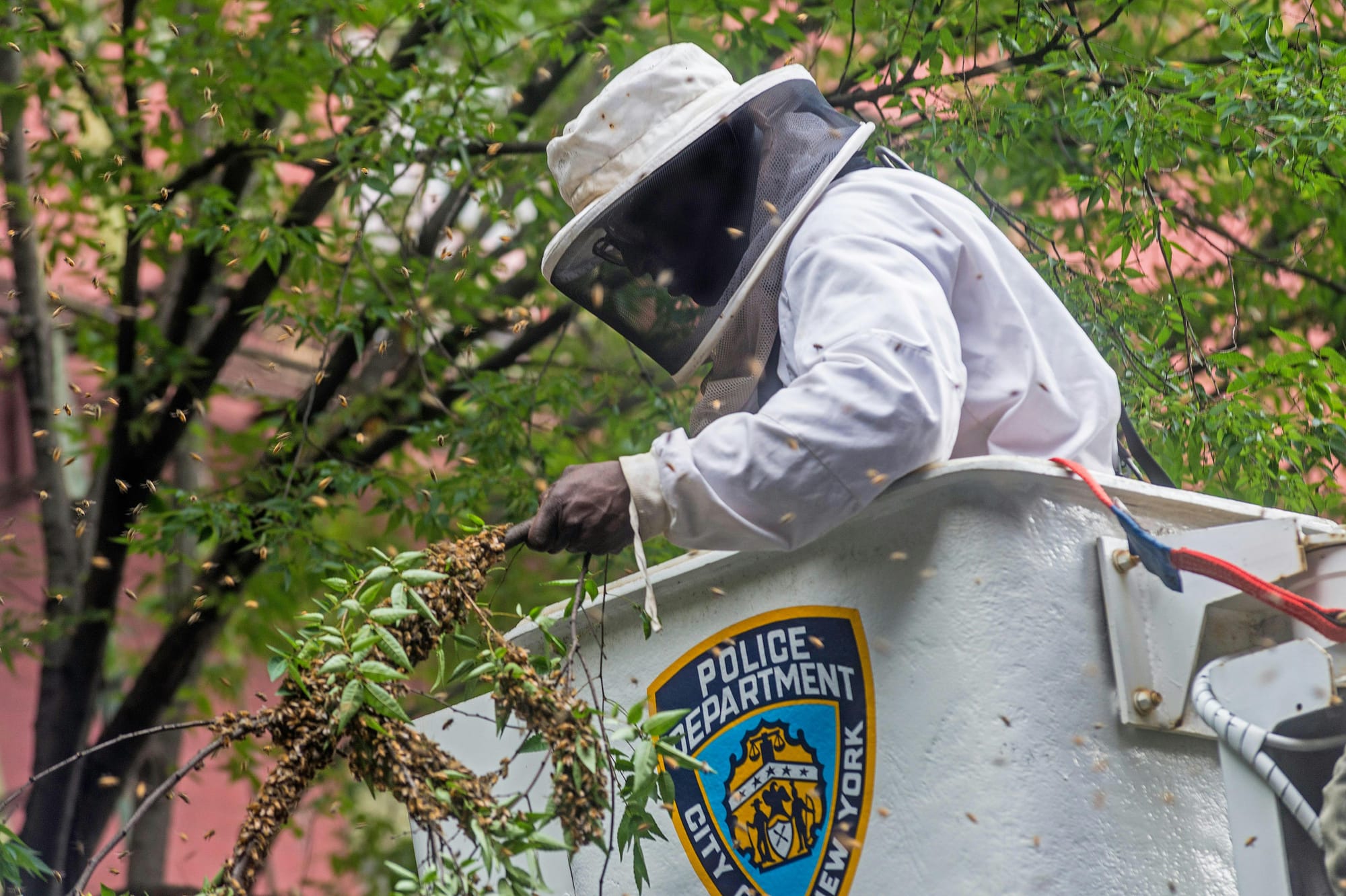 When Police Become Our Government