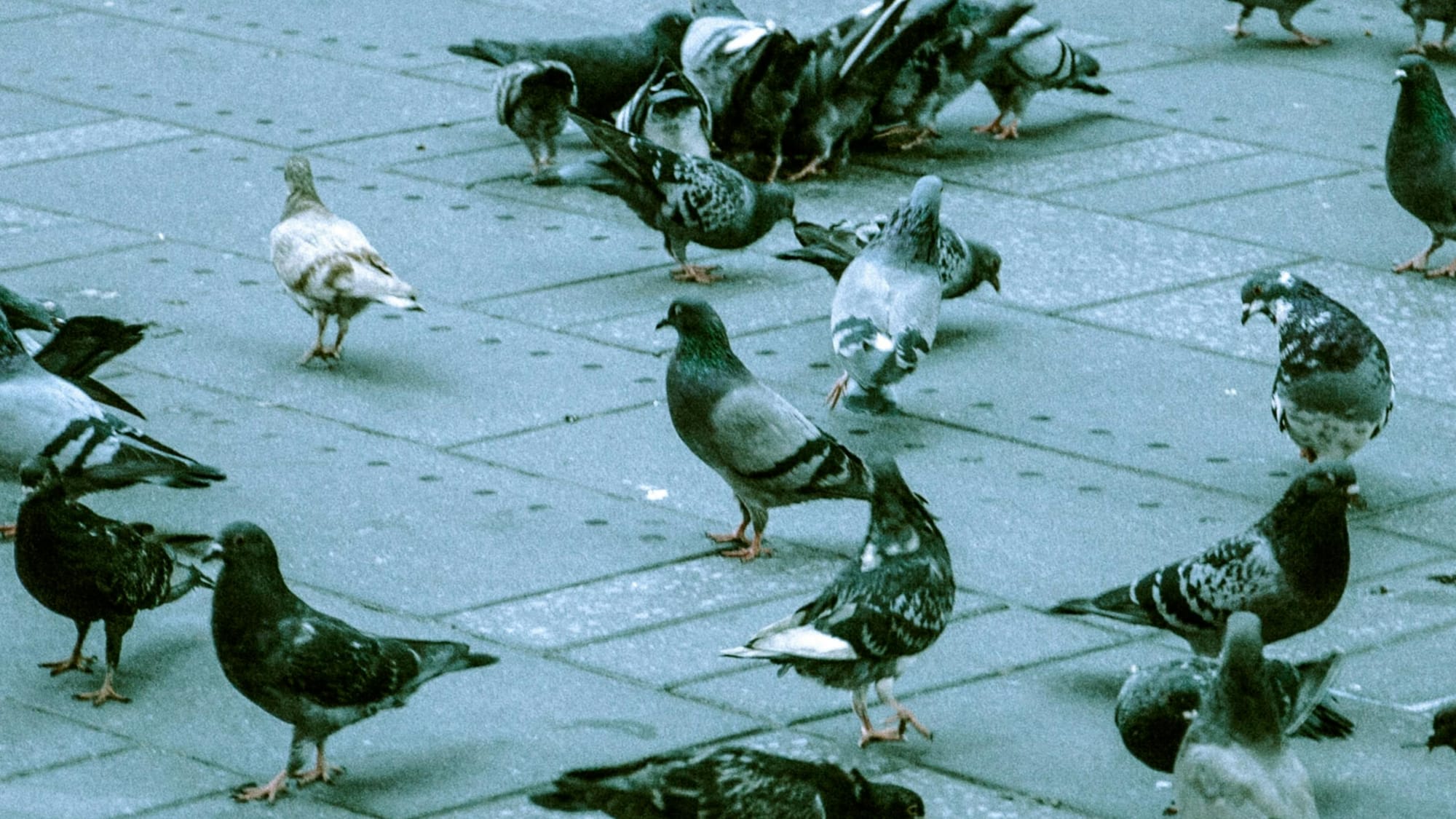 Shifting Power to the Community