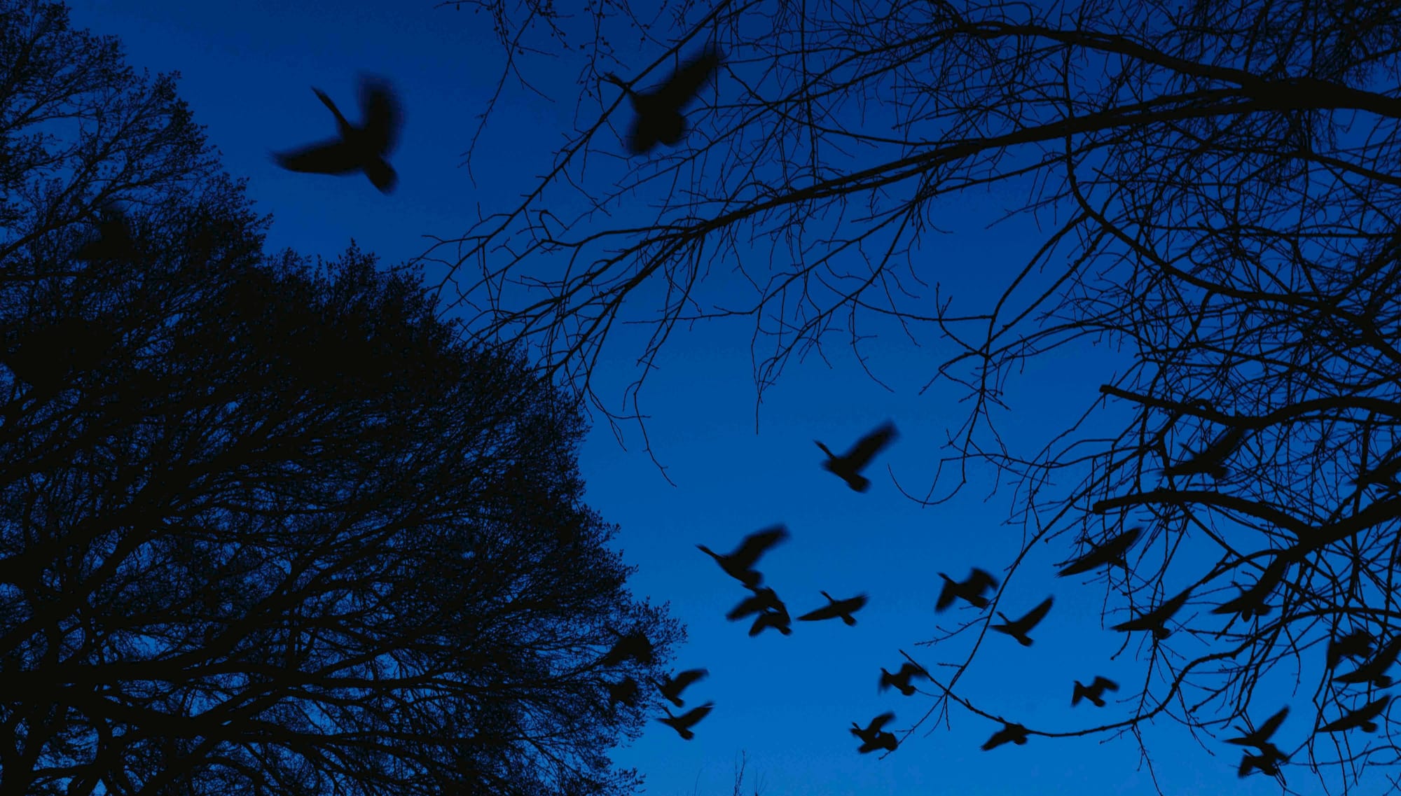 Rethinking the Role of Nonprofits in Progressive Policy and Urban Governance