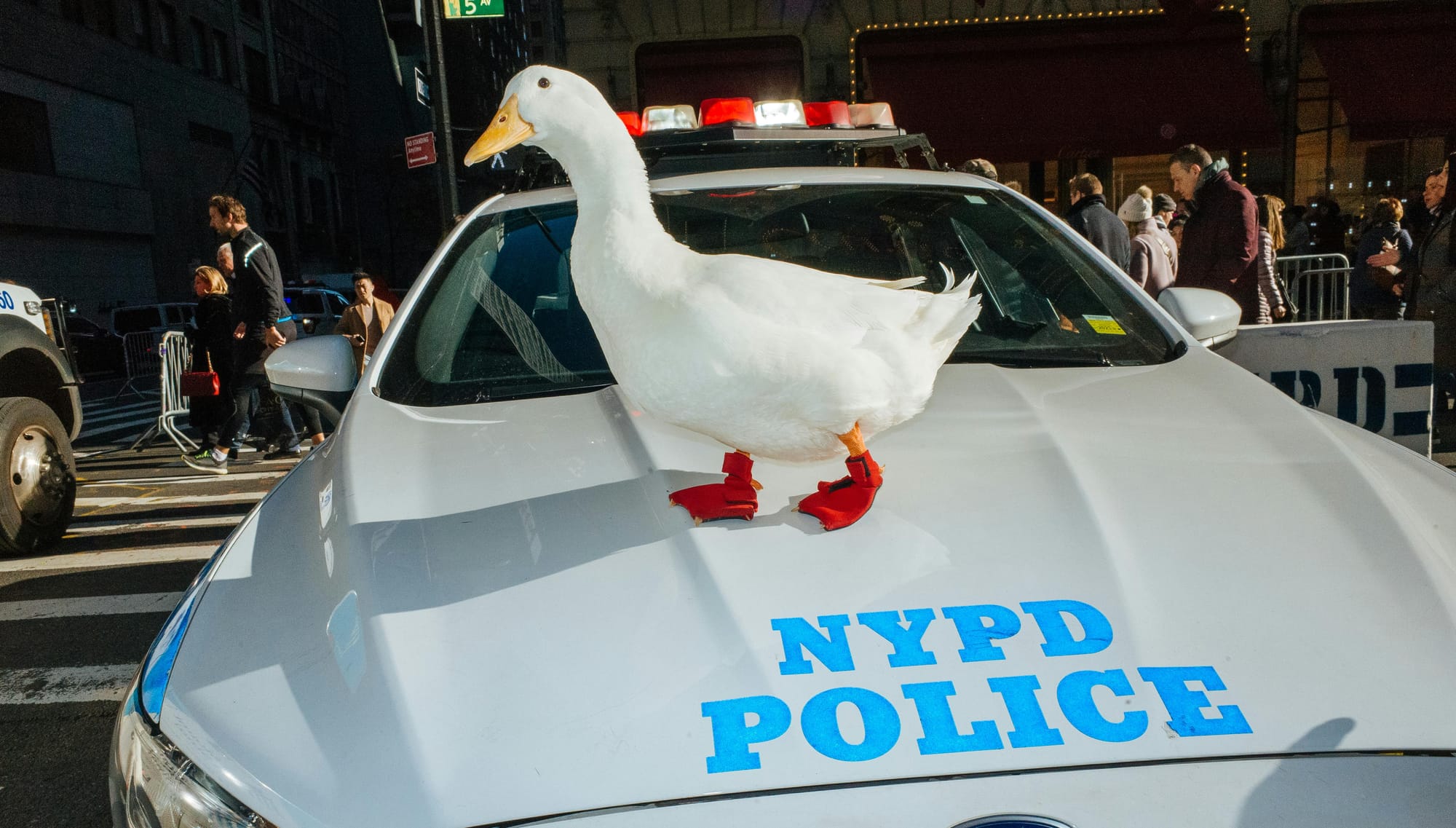 20 Strategies for Reducing Crime in Cities